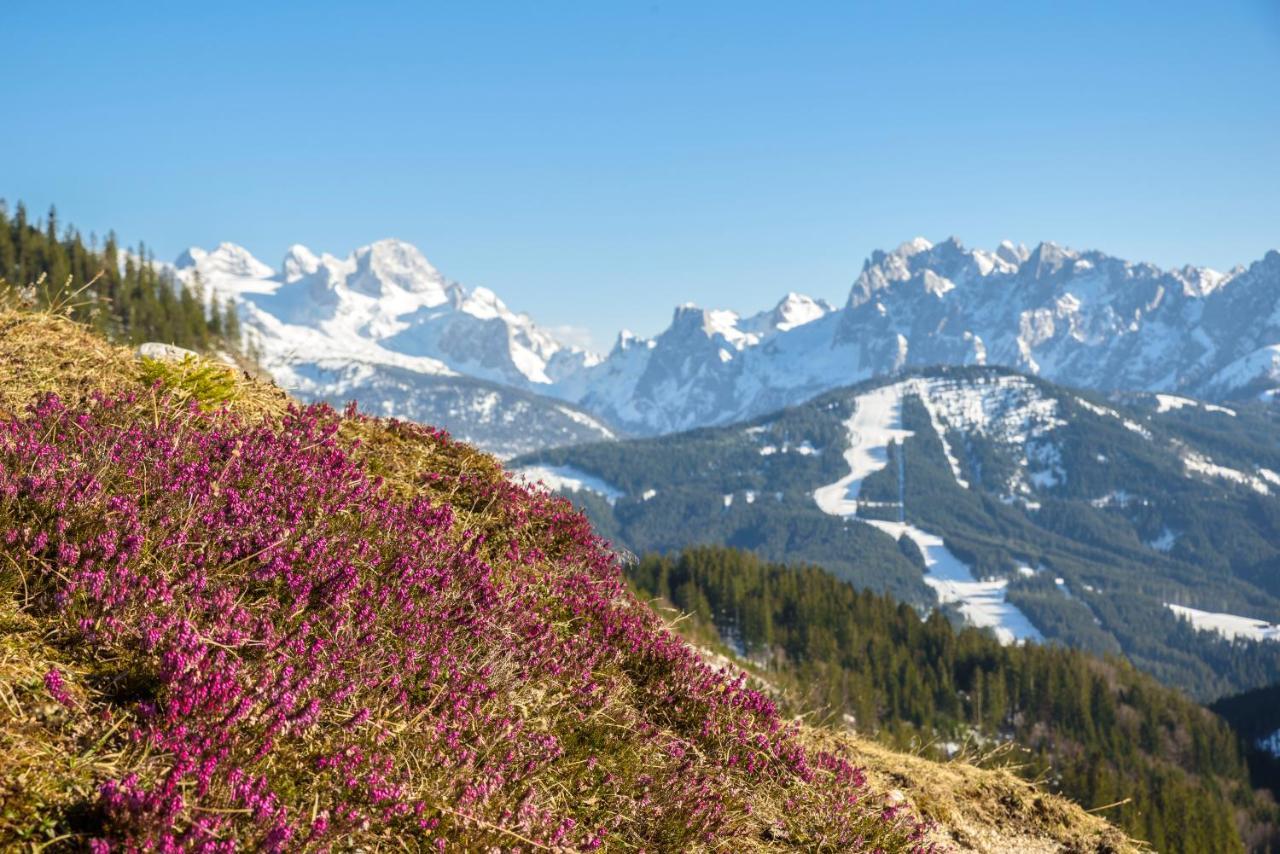Gaestehaus Saegemuehle Hotel Russbach am Pass Gschuett Luaran gambar