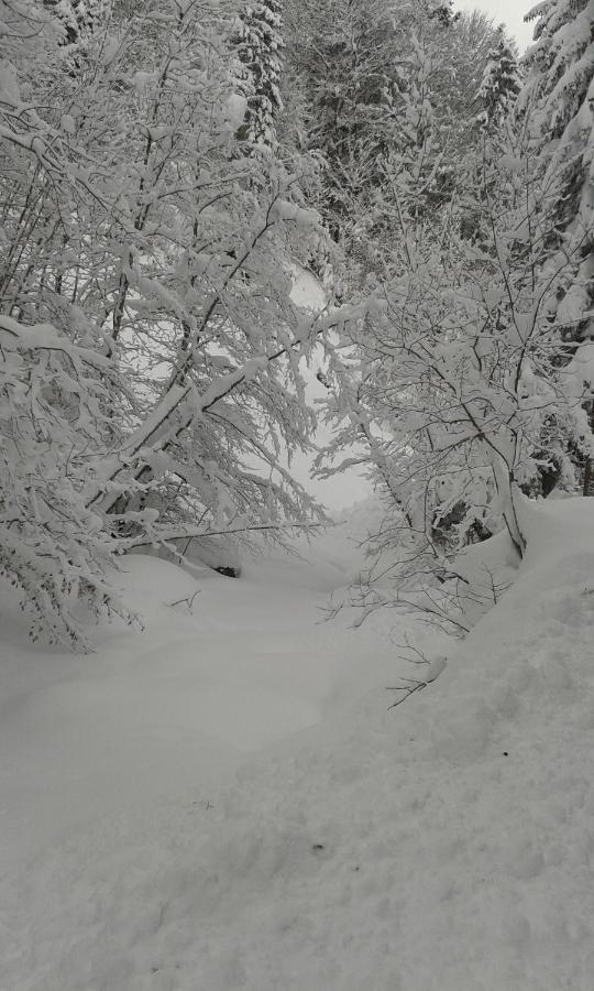Gaestehaus Saegemuehle Hotel Russbach am Pass Gschuett Luaran gambar