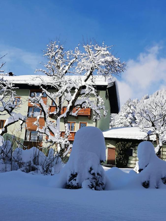 Gaestehaus Saegemuehle Hotel Russbach am Pass Gschuett Luaran gambar